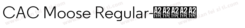 CAC Moose Regular字体转换